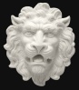 LION-005-CS