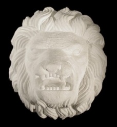 LION-003-CS